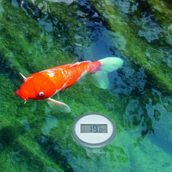 TFA Dostmann Ersatz-Zusatz-Schwimmsender TFA 30.3240.10 Für Poolthermometer Palma 1